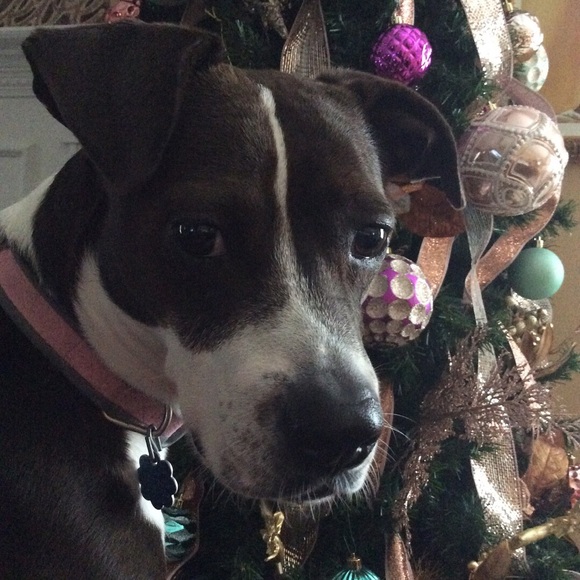 Meet your Posher, Katesa - Picture 2 of 2